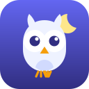 Memowl